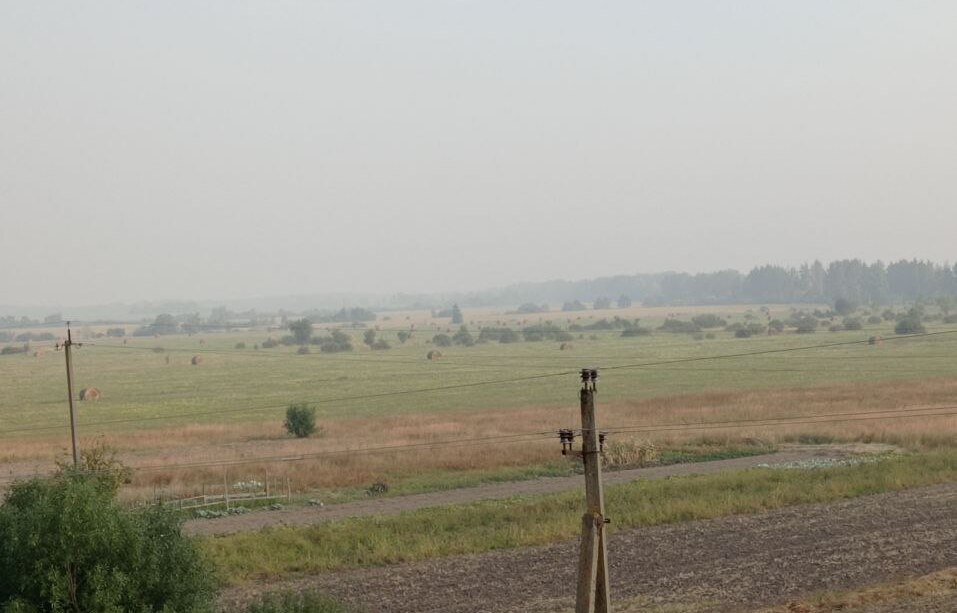 В Киеве и области чувствуется запах гари: что известно